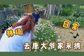 带北京来的朋友去唐大爷家采摘后续～整点韭菜花，到时候一起涮肉