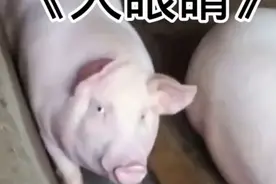 你咋这么自私？我焯 #搞笑视频 #搞笑配音 @快手热点(O40300129)