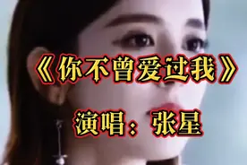 一首伤感歌曲《你不曾爱过我》唱出多少痴情人伤心泪。