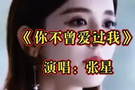 一首伤感歌曲《你不曾爱过我》唱出多少痴情人伤心泪。视频封面