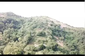 考察马化腾祖坟  整个家族都在这里整个山头都是马家族视频封面