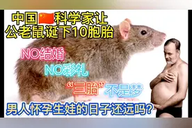 重磅！中国科学家让公老鼠诞下10胞胎，男人怀孕生娃的日子还远吗视频封面