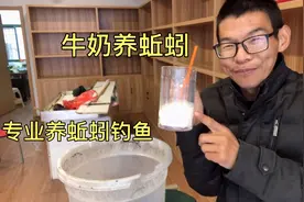 钓鱼用的蚯蚓，用苹果养了四天长的非常好，在加点牛奶茶叶会更好视频封面