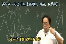 倪师讲中医之经络与气血流柱15【委中穴:解毒大穴】视频封面