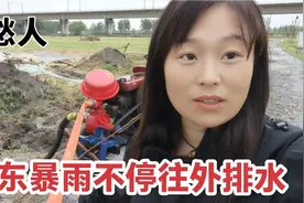 山东枣庄半年不下雨旱的厉害，现在又开始下个不停，都得往外排水视频封面
