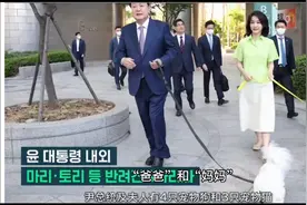 尹锡悦的遗憾！与妻子恩爱却膝下无子，上班时让家中宠物喊爸爸视频封面