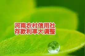河南农村信用社存款利率大调整，有的利息高有的低了，你会来存吗