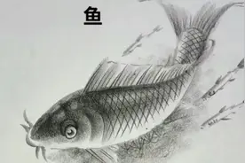 素描笔法：一张白纸，一根铅笔画出一条鱼，栩栩如生