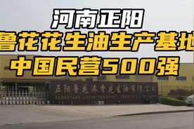 中国花生之都河南正阳，鲁花花生油生产基地，中国500强民营企业视频封面