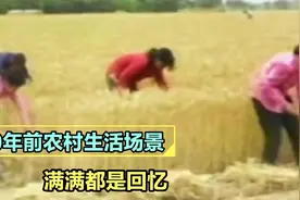 30年前农村生活场景！那时候虽然穷，但是过得特别充实，没有攀比视频封面