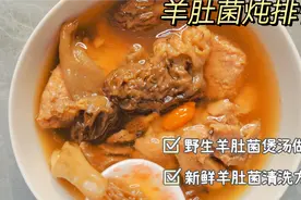 新鲜羊肚菌炖排骨煲汤做法这汤营养太棒了，增强免疫力就靠它了。视频封面