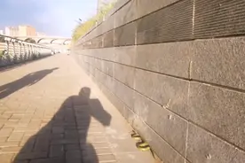 三门峡市区上阳路桥东涧河边，发现一条毒蛇，爱护野生动物，放生视频封面