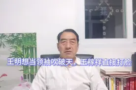 斯大林问红军还有多少人，王明吹破天说还有30万，王稼祥直接打脸视频封面
