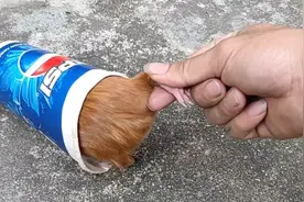 小伙刚买的可乐就不见，原来是被这只家伙给偷吃了视频封面