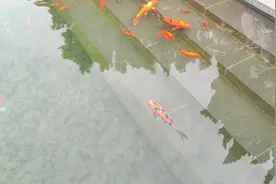 最是那一抹浅笑暖人心视频封面