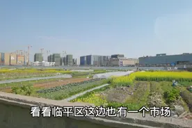 杭州上城区和临平区交界，临平区南部变主城区，乔司南麻雀变凤凰视频封面