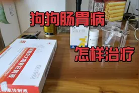 狗狗拉稀吃食，跟狗狗拉稀不吃食，自己在家里怎样给它治疗。视频封面