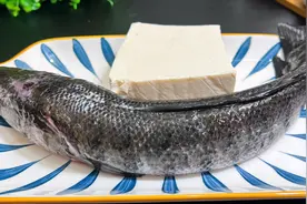 炖黑鱼汤，黑鱼和豆腐别直接下锅，教你饭店不外传秘诀，汤白不腥