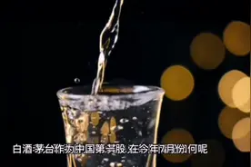 茅台等白酒暴跌的背后，你知道是什么原因吗？视频封面