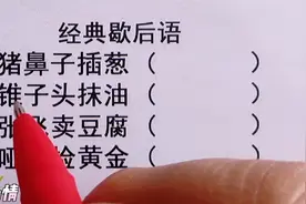 经典歇后语，猪鼻子插葱，锥子头抹油，张飞卖豆腐，来挑战一下