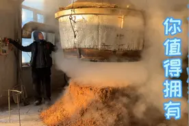 没有科技与狠活的小烧酒，东北人喝酒就好这一口，好喝还不上头！视频封面