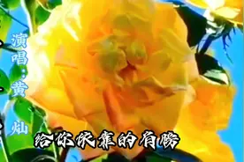 @流年音乐#'《黄玫瑰》听过很多遍，却不知道它背后的故事！视频封面