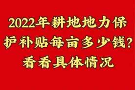 2022年耕地地力补贴每亩多少钱？你领到补贴了吗？快来看看！视频封面