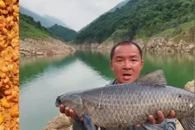 一款谷麦打窝30分钟能上鱼，你知道怎么制作的吗？#谷麦配方#谷麦