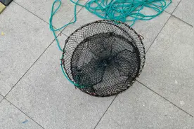 讲解大海蟹笼捕捉原理，等一个有机会，去捕鱼虾蟹鳖视频封面