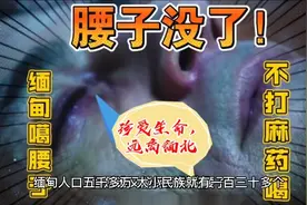 珍爱生命，远离缅北视频封面