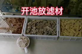 一个普通的帆布池用多少滤材？开池放滤材前最好用高锰酸钾杀下菌视频封面