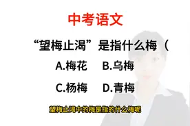 中考语文:“望梅止渴”中的“梅”指的是什么梅呢？你会选择哪个视频封面