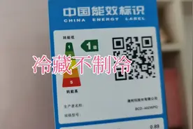 风冷无霜冰箱冷藏不制冷原因风门故障导致打不开冷风无法进入冷藏