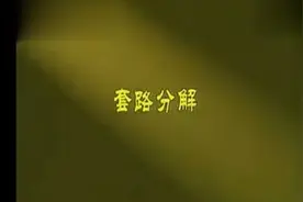 赵幼斌大师演练传统杨式85式太极拳分解教学视频