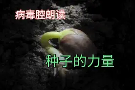 病毒腔朗读《种子的力量》视频封面