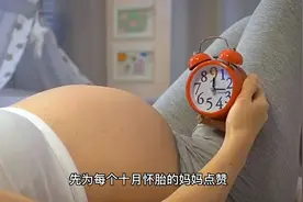 你知道怀胎十月，每个月的变化吗视频封面
