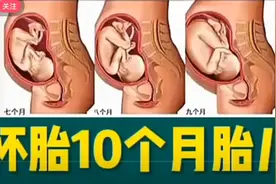 值得每个人看！怀胎十个月的胎儿在肚子里的变化！真的很神奇！视频封面