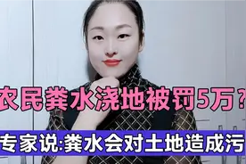 农民粪水浇地被“罚5万”？有专家说: 粪水浇地会对土地造成污染视频封面