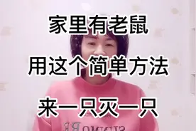 家里有老鼠，用这个简单方法灭鼠，来一只灭一只视频封面