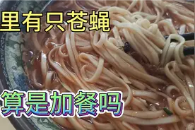 沙县小吃的面里发现一只苍蝇，我都吃了你说咋办，真是太恶心了视频封面