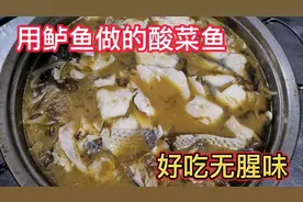 用什么鱼做酸菜鱼最好吃？大哥用野生鲈鱼来做味道不错哦