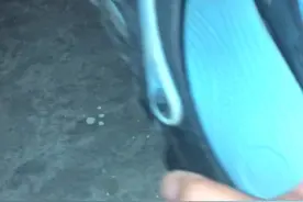 你见过蟑螂在交配么