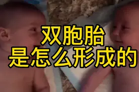 你知道双胞胎是怎么形成的吗？视频封面