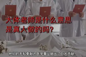 大体老师是什么意思，是真人做的吗？视频封面