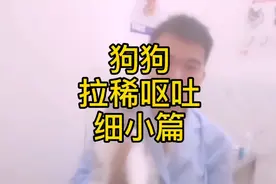 宠物医生口述狗狗细小症状及治疗方法。快来一起学习吧。视频封面