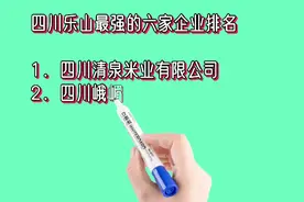四川乐山最强的六家企业排名视频封面