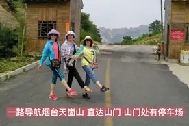 潍坊三个退休阿姨，自驾烟台天崮山，捡野生桑椹，吃住行全套攻略视频封面