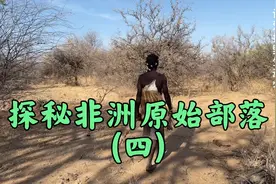 成都妹子深入非洲哈德扎比原始部落，体验他们如何打猎获取食物视频封面