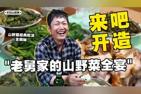 老舅家的山野菜全宴！山野菜经典吃法全揭秘！视频封面
