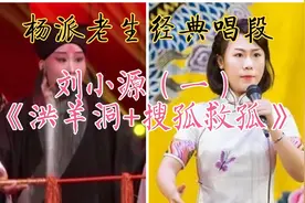 【天使谭】张克弟子，“天津小孩”刘小源《洪羊洞+搜孤救孤》视频封面